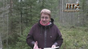 ПТК-Североонежск от 4 ноября