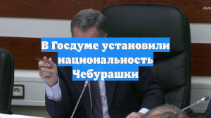В Госдуме установили национальность Чебурашки