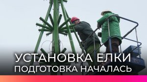 В Великом Новгороде начали устанавливать главную новогоднюю елку