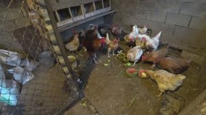 Влог от 17.09.2021