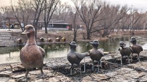 Мирская АН о утках в ЦПКиО 13.11.2025 КУРГАН