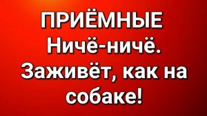 Приёмные/В последних сериях.