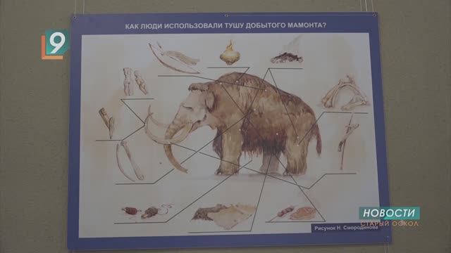 Новости Старого Оскола от 13 ноября