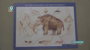 Новости Старого Оскола от 13 ноября