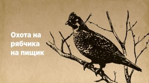Охота на рябчика на пищик
