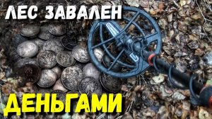 ЗДЕСЬ ВСЁ ЗАВАЛЕНО ДЕНЬГАМИ. НАХОДКИ В ЛЕСУ