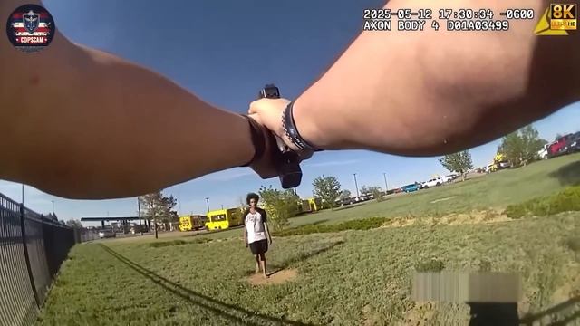 САМЫЕ БЕЗУМНЫЕ полицейские погони, когда-либо снятые на видеорегистратор! смотреть онлайн