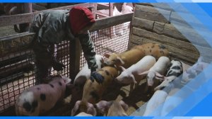 13.11.2025      Социальный контракт. Киселевчане меняют жизни благодаря господдержке