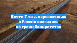 Почти 7 тыс. перевозчиков в России оказались на грани банкротства
