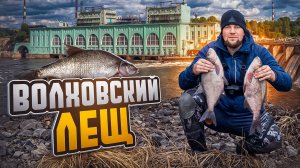 Огромные рыбы разгибают крючки. Осенняя рыбалка на леща. Река Волхов