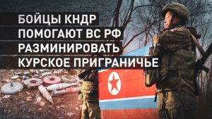 Инженерные войска КНДР помогают российским сапёрам в разминировании приграничья Курской области