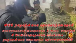 ФСБ задержала организаторов нелегальной миграции 5 тыс. человек