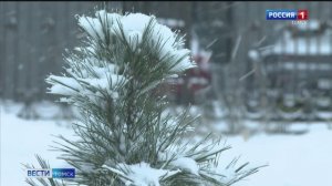 Вести-Томск, выпуск от 13.11.2025 11:30