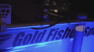 Лодка  Gold Fisher Sort Почти 6 метров за 1 Миллион