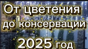 Урожай 2025 года. От цветения до консервации.С весны до осени .