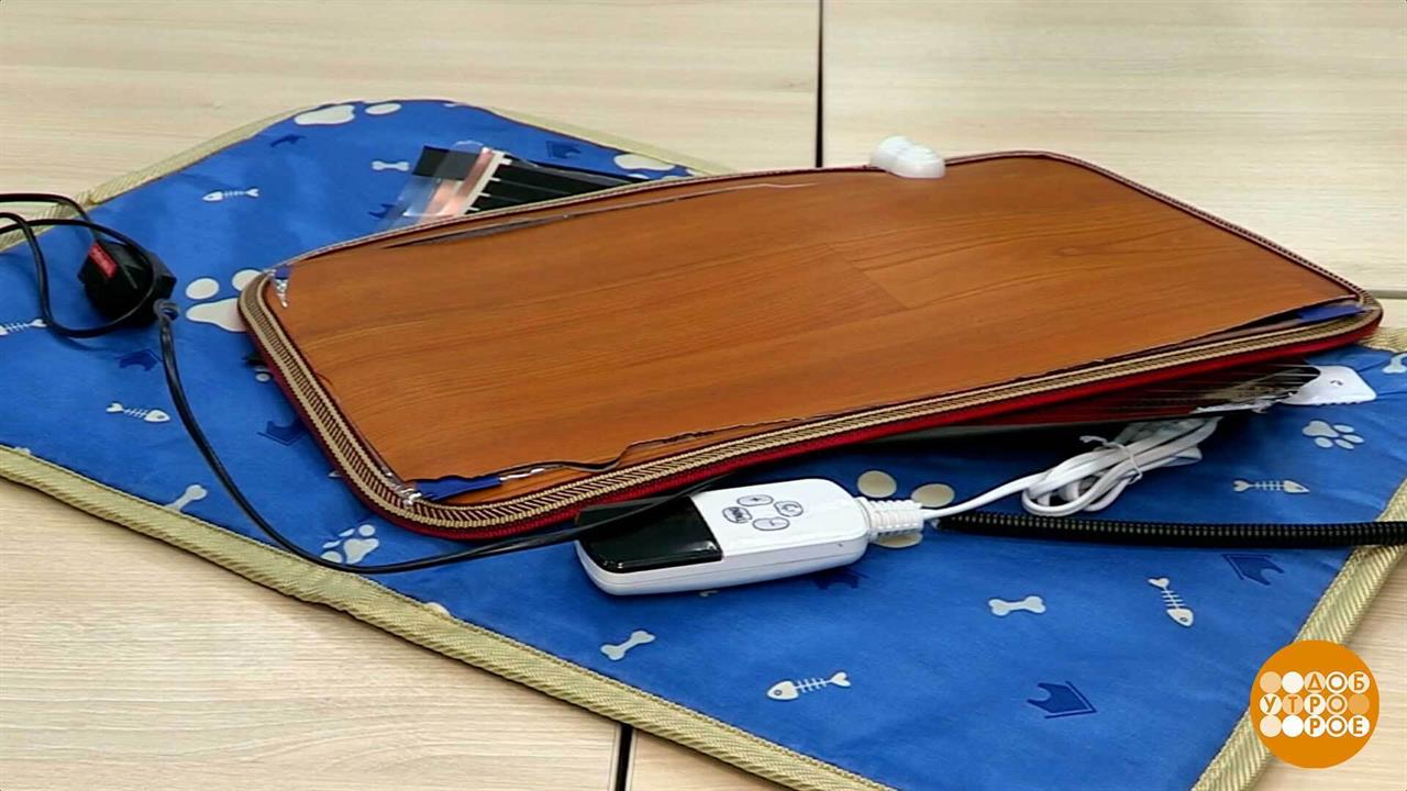 Коврик? Для сугреву. Доброе утро. Фрагмент выпуска от 13.11.2025