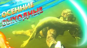 ПОДВОДНАЯ ОХОТА НА САЗАНА ОСЕНЬЮ 2025 года