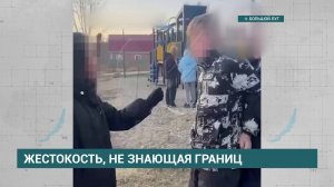 Группа подростков избила 13-летнюю школьницу в Большом Лугу