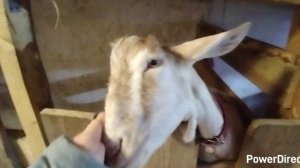 13-11-2025 С чего всё началось / я из бедной семьи.