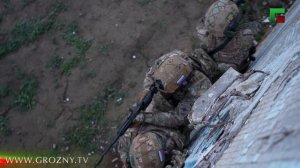 Закон Сила Порядок Эфир от 10.11.2025