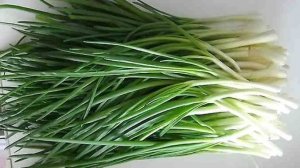 Свежий ЗЕЛЁНЫЙ ЛУК на Новый год: ПРОСТОЙ СПОСОБ вырастить ЗЕЛЕНЫЙ ЛУК дома за копейки!