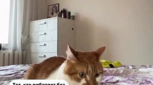 Так бывает. Приятного просмотра!