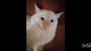 ХВХВХВХВХВХВХ