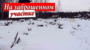 Купили Заброшенный Дачный Участок / Приехали Туда Зимой