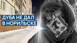 Так можно и ДУБА ДАТЬ В НОРИЛЬСКЕ 🥶 Очень холодно -35 ❗❗ Техника НЕ ВЫДЕРЖИВАЕТ ХОЛОДА 🧊