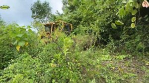 Строительство, расчистка , лесная дорога