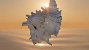 VA - Cafe del Mar Ibiza Chillout Mix V (DJ Mix) (2025)