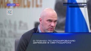 О планах по кронированию деревьев в Светлодарске