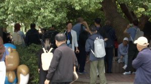 Путешествие дружбы: как медиа из Сибири открыли Китай