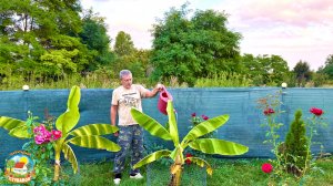 Привёз тёщу на хутор, а здесь опять пополнение. Куда их всех девать?