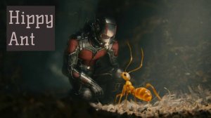 Альбом песен ХИППИ-ЭНТ