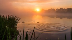 Эх, вы летние деньки,