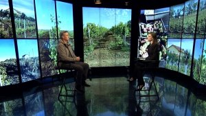 Развития виноделия в России / Андрей Нечаев