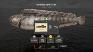 Норвежское море. Супер сборка!!! Все работает!!! ФАРМ!!!