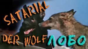 Satarial - der wolf  / Волк Лобо