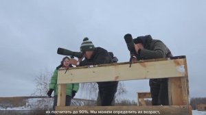 Полет стерха