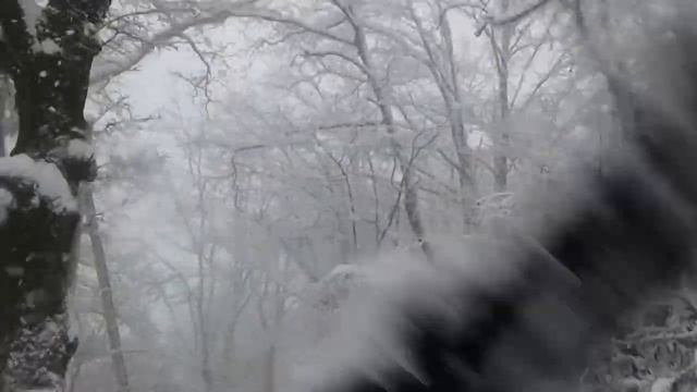 19 февраля 2021 г.