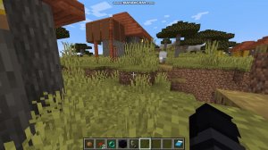 Я попал через портал в ад Майнкрафт и заспаунил Визера [но не получилось] Enderman