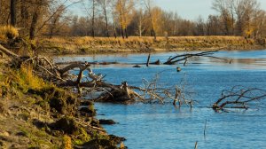 Рыбалка на карася в конце сентября. Протока "Талая".
