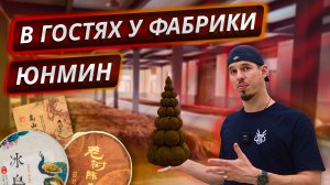 Как делают пуэр на фабрике Юнмин