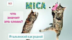 MICA в итальянском языке в примерах с переводом – 163