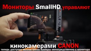 мониторы SmallHD управляют кинокамерами Canon
