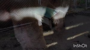 С добрым утром из Сладково!