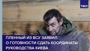 Пленный из ВСУ заявил о готовности сдать координаты руководства Киева