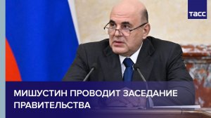 Мишустин проводит заседание правительства