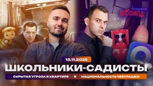 Школьники-садисты. Скрытая угроза в квартире. Национальность Чебурашки